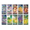 simplified-chinese-pokemon-travel-journey-adventure-gift-box-276-2 Simplified Chinese Pokemon Travel Journey Adventure Gift Box
